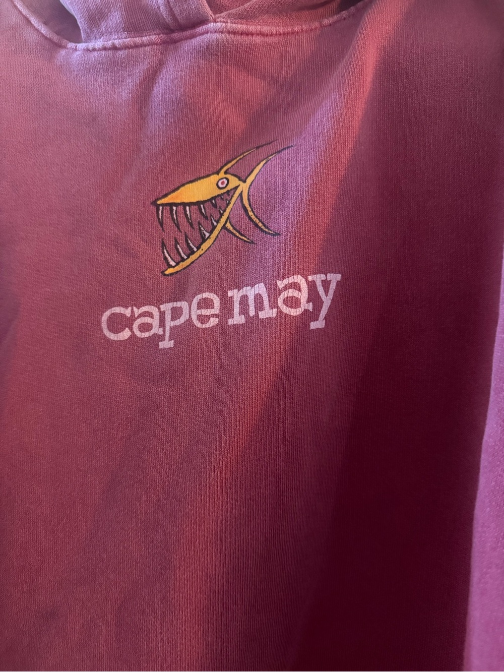 Comfort Colors Cape May Dusty Rose Hoodie with Graphic, YXL